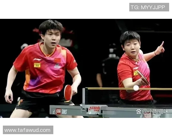 南京乒乓球队运营揭秘：从训练到赛事的全方位深度解析