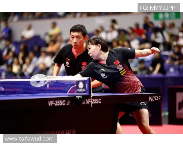 广州排球队与上海排球队速度对决赛后分析与复盘总结