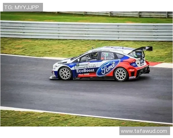 深圳排球队以82分领跑洲际杯积分榜展现强大实力与团队合作精神